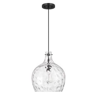 1-Light Pendant in Matte Black