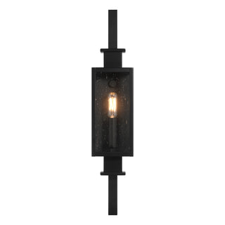 Ascott 1-Light Outdoor Wall Lantern in Matte Black