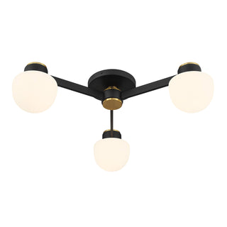 3-Light Ceiling Light in Matte Black with Natural Brass