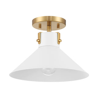 1-Light Ceiling Light in White and Natural Brass