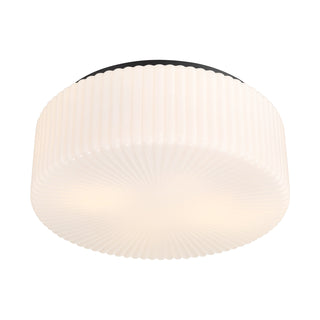 Edgemont 4-Light Ceiling Light in Matte Black