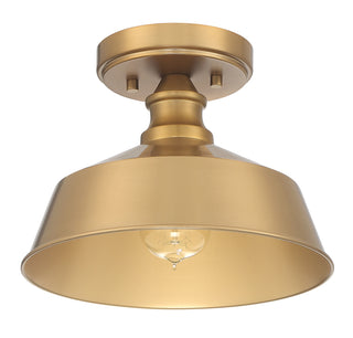 1-Light Ceiling Light in Natural Brass