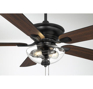 52" 2-Light Outdoor Ceiling Fan in Matte Black