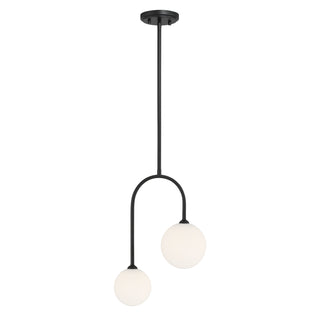 Chester 2-Light Pendant in Matte Black