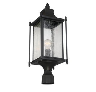 Dunnmore 1-Light Outdoor Post Lantern in Black