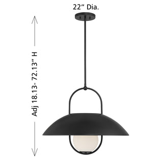 Lehigh 1-Light Pendant in Matte Black