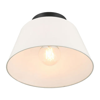 1-Light Ceiling Light in Matte Black