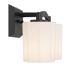 Whitney 2-Light Bathroom Vanity Light in Matte Black