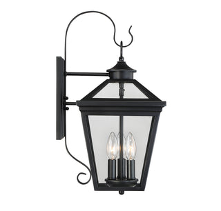 Ellijay 3-Light Outdoor Wall Lantern in Black