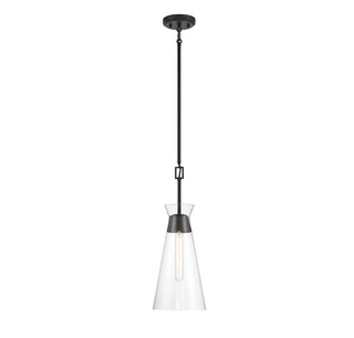 Lakewood 1-Light Pendant in Matte Black