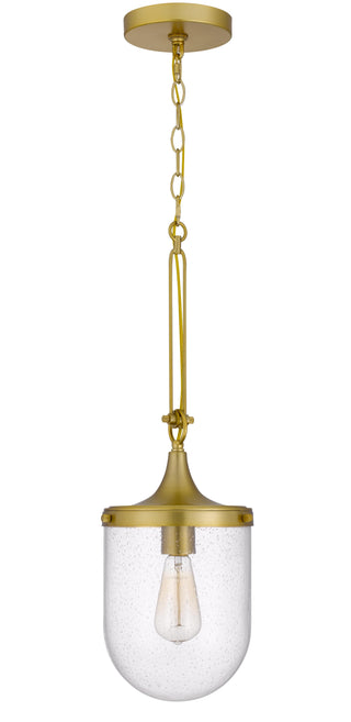 60W Ithaca Bubbled Glass Pendant Fixture
