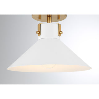 1-Light Ceiling Light in White and Natural Brass