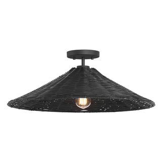 1-Light Ceiling Light in Matte Black