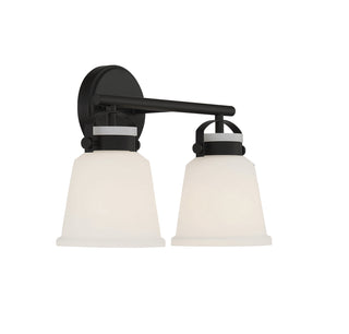 Kaden 2-Light Bathroom Vanity Light in Matte Black