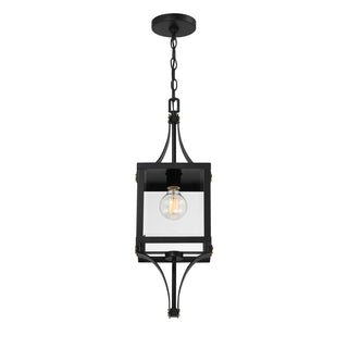 Raeburn 1-Light Outdoor Hanging Lantern in Matte Black and Weathered Brushed Brass