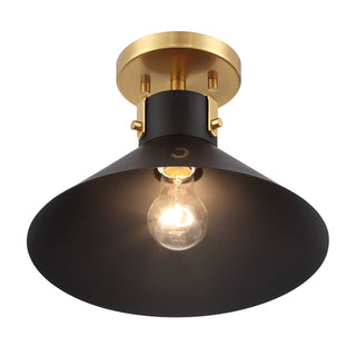 1-Light Ceiling Light in Matte Black and Natural Brass