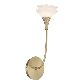 Florena 1-Light Wall Sconce in Noble Brass by Breegan Jane