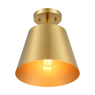 1-Light Ceiling Light in Natural Brass