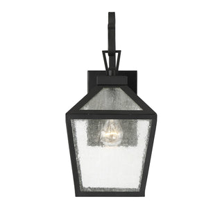 Woodstock 1-Light Outdoor Wall Lantern in Black