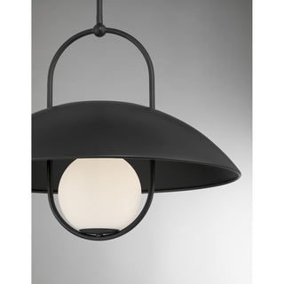 Lehigh 1-Light Pendant in Matte Black