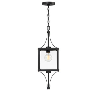 Raeburn 1-Light Outdoor Hanging Lantern in Matte Black and Weathered Brushed Brass