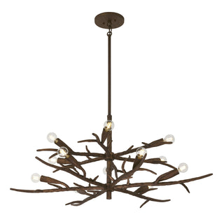 Palisades 12-Light Chandelier in Bark by Breegan Jane
