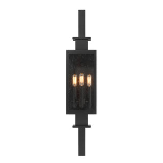 Ascott 3-Light Outdoor Wall Lantern in Matte Black