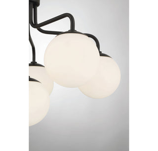 Marco 6-Light Ceiling Light in Matte Black