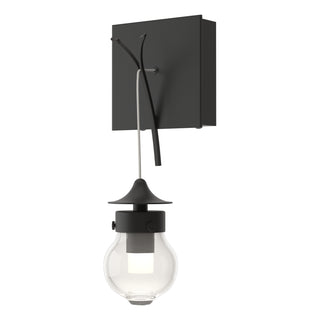 Kiwi Sconce