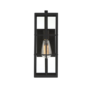 Ericson 1-Light Outdoor Wall Lantern in Matte Black