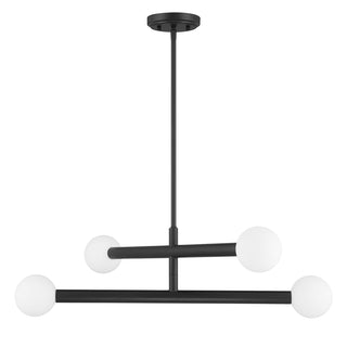 4-Light Chandelier in Matte Black