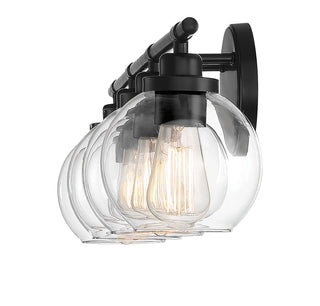 Carson 4-Light Bathroom Vanity Light in Matte Black