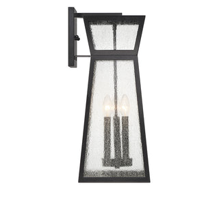 Millford 3-Light Outdoor Wall Lantern in Matte Black