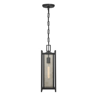 Jacobs 1-Light Outdoor Hanging Lantern in Matte Black