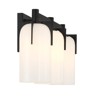 Caldwell 3-Light Bathroom Vanity Light in Matte Black