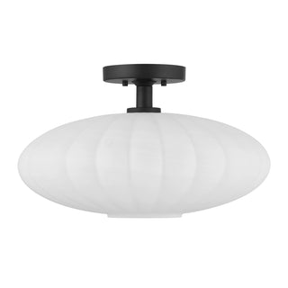1-Light Ceiling Light in Matte Black