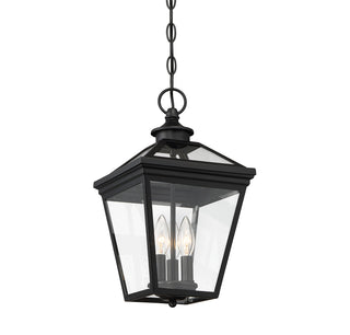 Ellijay 3-Light Outdoor Hanging Lantern in Black