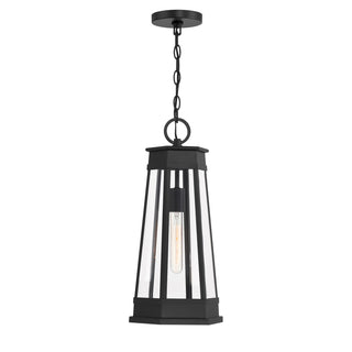Payne 1-Light Outdoor Hanging Lantern in Matte Black