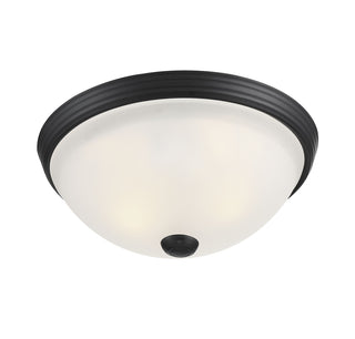2-Light Ceiling Light in Matte Black