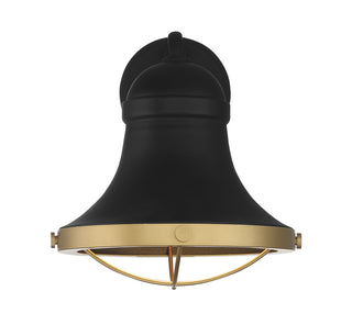 Belmont 1-Light Outdoor Dark Sky Wall Lantern in Textured Black with Warm Brass Accents