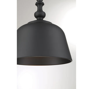 Berg 1-Light Pendant in Matte Black