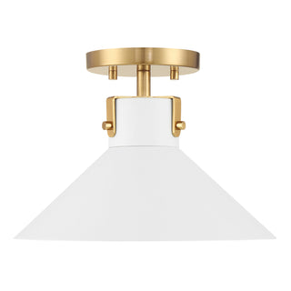 1-Light Ceiling Light in White and Natural Brass