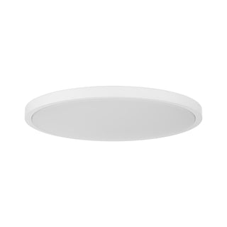 20" LED Flush Mount in White