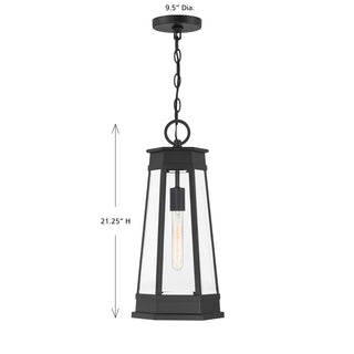 Payne 1-Light Outdoor Hanging Lantern in Matte Black