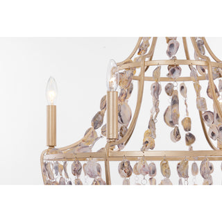 Leanne 6-Light Chandelier in Chandon by Breegan Jane