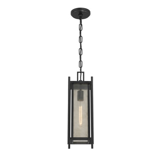 Jacobs 1-Light Outdoor Hanging Lantern in Matte Black