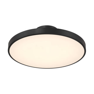 Thayer 1-Light LED Ceiling Light in Matte Black