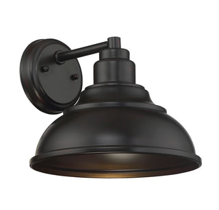 Dunston DS 1-Light Dark Sky Wall Lantern in English Bronze