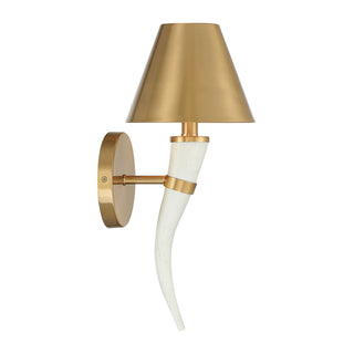 Hearne 1-Light Wall Sconce in Warm Brass by Dann Foley