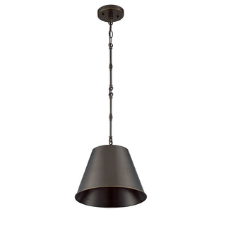 Alden 1-Light Pendant in Old Bronze